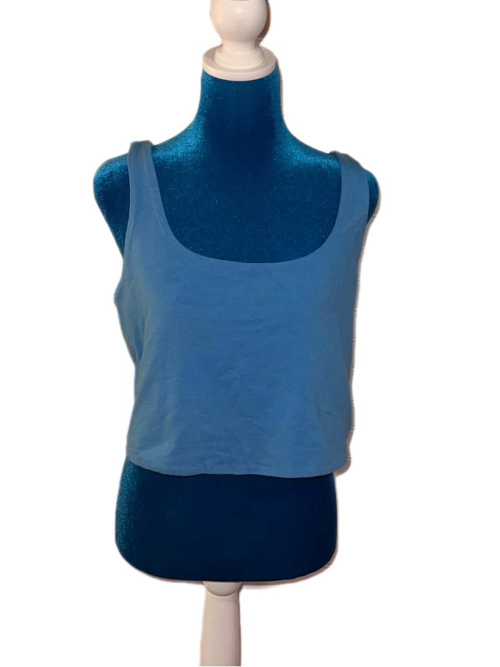Wild Fable Women’s Scoop Neck Tank Top - Blue